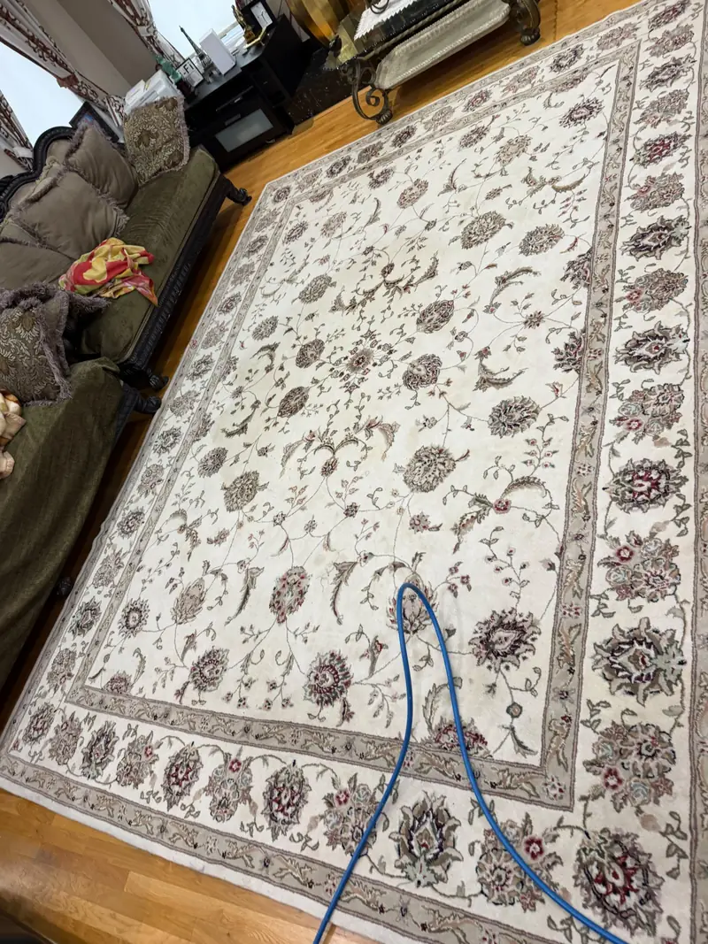 A cleaning hose on a cream floral rug in a living room